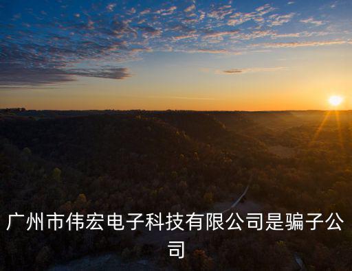 廣州得偉電子科技有限公司，廣州市偉宏電子科技有限公司是騙子公司