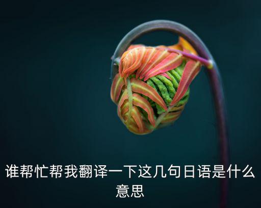 予約注文濟，請問予約済是啥意思QQ