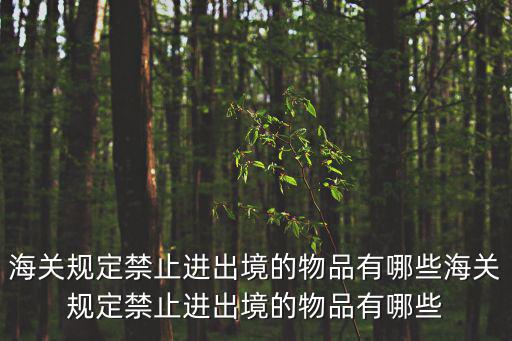 海關規定禁止進出境的物品有哪些海關規定禁止進出境的物品有哪些
