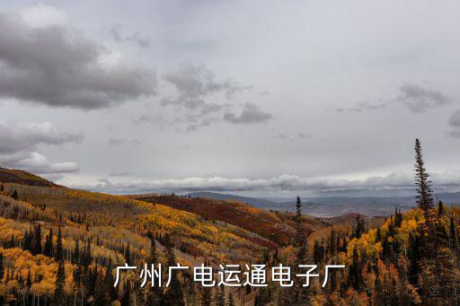 廣州廣電運通，廣州廣電運通電子廠