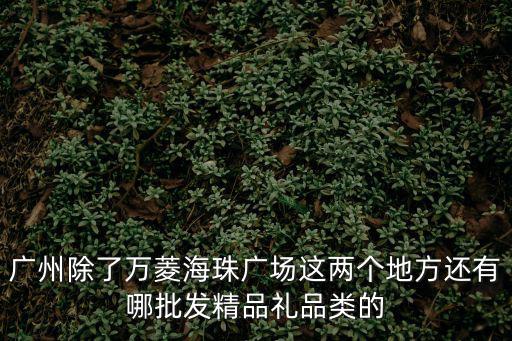 廣州除了萬菱海珠廣場這兩個地方還有哪批發(fā)精品禮品類的