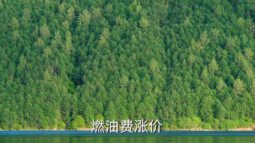 燃油費(fèi)漲價(jià)