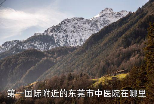 第一國際附近的東莞市中醫(yī)院在哪里