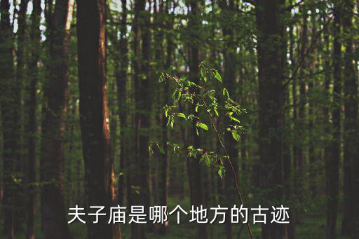 夫子廟是哪個地方的古跡