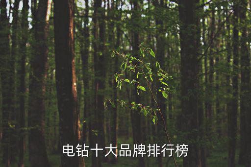 電鉆十大品牌排行榜
