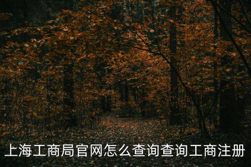 上海工商局官網怎么查詢查詢工商注冊