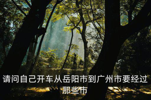 請問自己開車從岳陽市到廣州市要經(jīng)過那些市