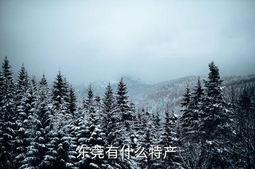 東莞有什么特產