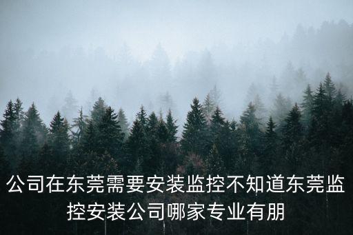 公司在東莞需要安裝監控不知道東莞監控安裝公司哪家專業有朋