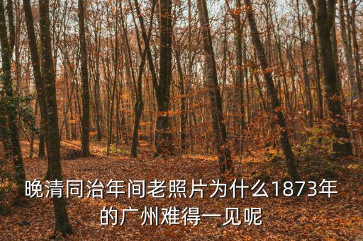 廣州日常照片，需要一組廣州市照片
