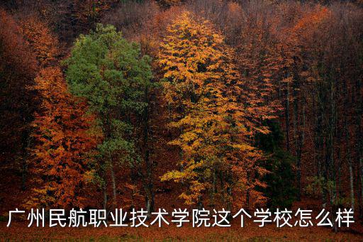 廣州民航職業(yè)技術(shù)學(xué)校，廣州民航職業(yè)技術(shù)學(xué)院這個(gè)學(xué)校怎么樣