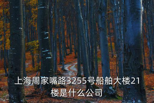 上海周家嘴路3255號(hào)船舶大樓21樓是什么公司