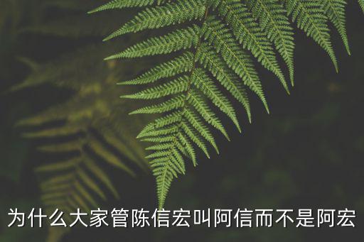 為什么大家管陳信宏叫阿信而不是阿宏