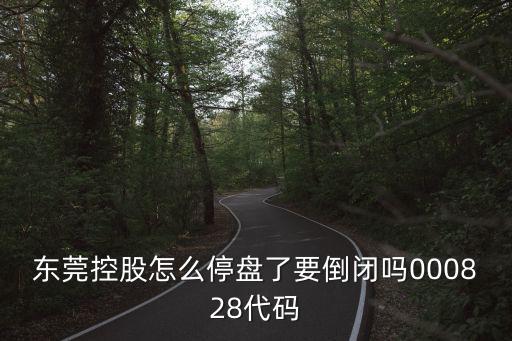東莞控股怎么停盤了要倒閉嗎000828代碼