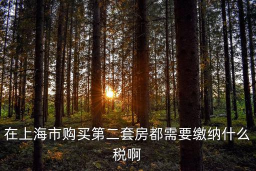上海二套房稅費(fèi)，在上海市購(gòu)買(mǎi)第二套房都需要繳納什么稅啊