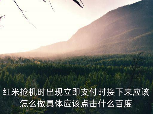 紅米搶機時出現立即支付時接下來應該怎么做具體應該點擊什么百度