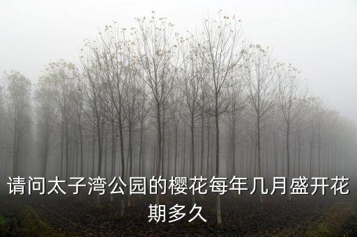 請問太子灣公園的櫻花每年幾月盛開花期多久
