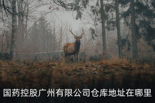國藥控股廣州有限公司，您好我想問下國藥控股國大藥房廣東有限公司一致股份有限公司