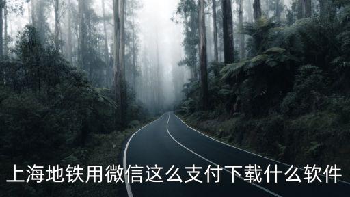 上海地鐵軟件，上海地鐵造價用什么軟件