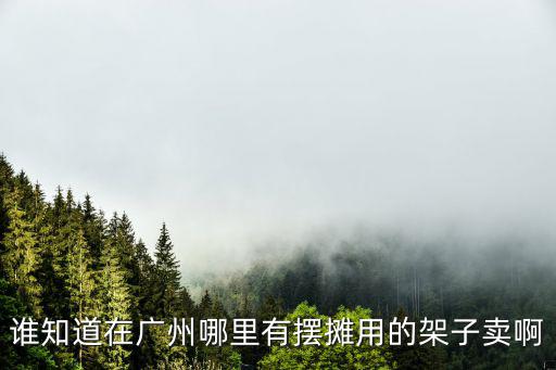 誰知道在廣州哪里有擺攤用的架子賣啊