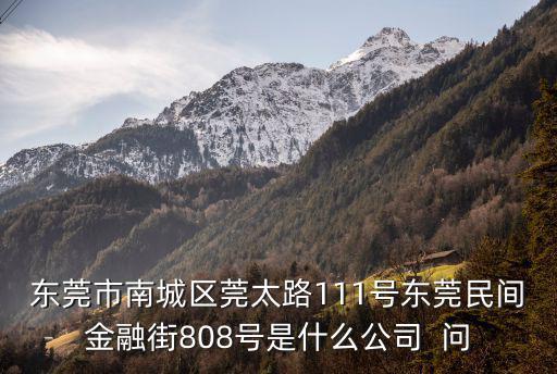 東莞市南城區莞太路111號東莞民間金融街808號是什么公司  問