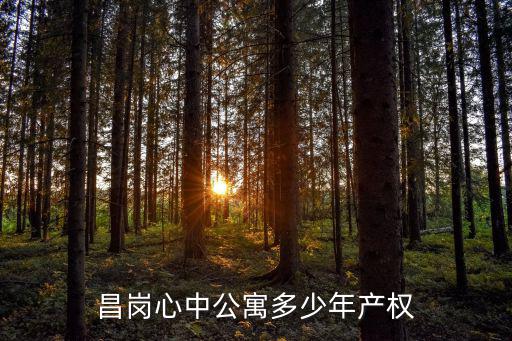 昌崗心中公寓多少年產權