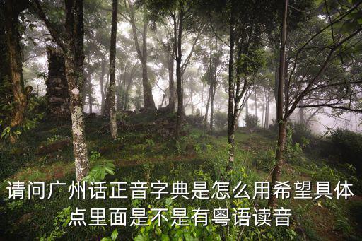 請問廣州話正音字典是怎么用希望具體點里面是不是有粵語讀音