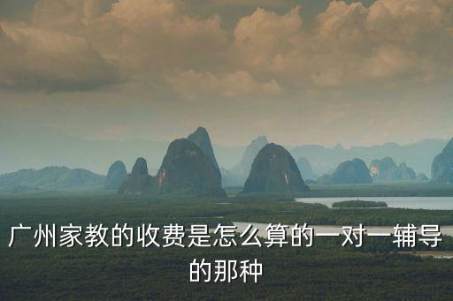 廣州家教，廣州家教中心 哪家最好是否有一對一教學