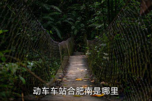 動車車站合肥南是哪里