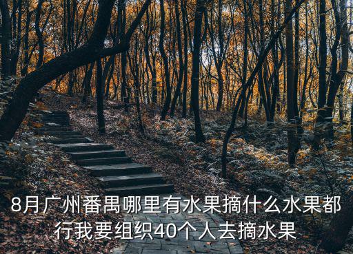 8月廣州番禺哪里有水果摘什么水果都行我要組織40個人去摘水果