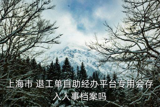 上海市 退工單自助經(jīng)辦平臺(tái)專(zhuān)用會(huì)存入人事檔案嗎