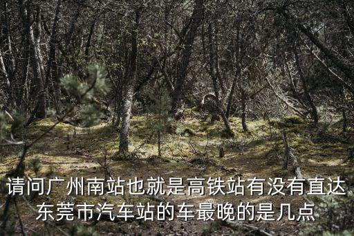 請問廣州南站也就是高鐵站有沒有直達東莞市汽車站的車最晚的是幾點