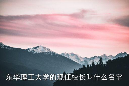 東華理工大學的現任校長叫什么名字