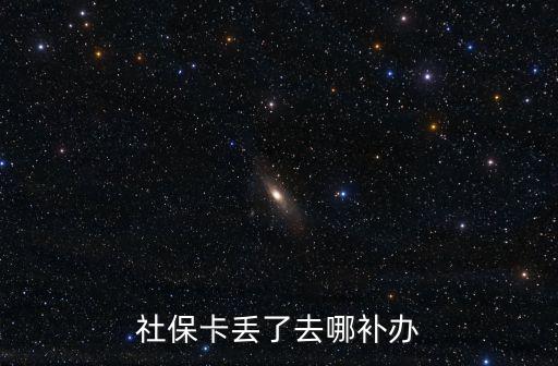 補辦社保卡去哪里辦理，社保卡丟了去哪補辦