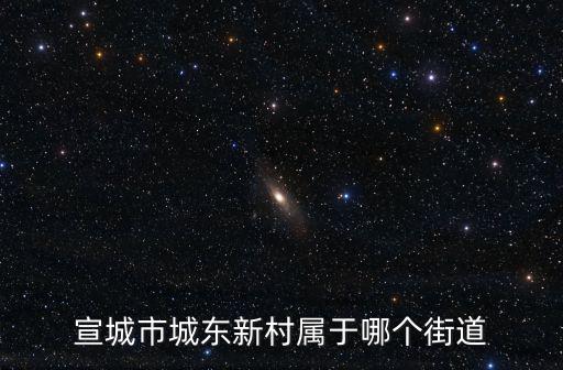 宣城市城東新村屬于哪個街道