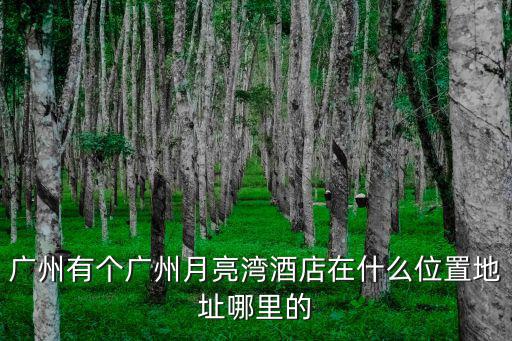 廣州有個廣州月亮灣酒店在什么位置地址哪里的