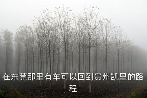在東莞那里有車可以回到貴州凱里的路程