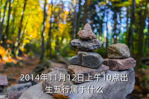 廣州日報2014年11月12日，2014年11月12日上午10點出生五行屬于什么