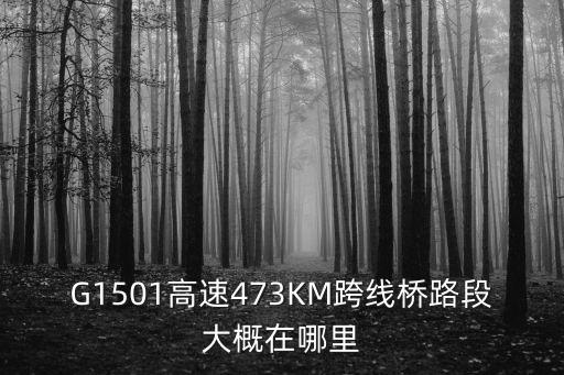 G1501高速473KM跨線橋路段大概在哪里