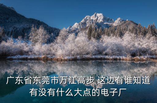 廣東省東莞市萬江高步 這邊有誰知道有沒有什么大點的電子廠