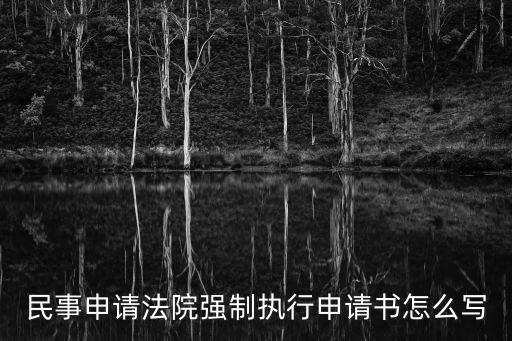 民事申請法院強制執行申請書怎么寫