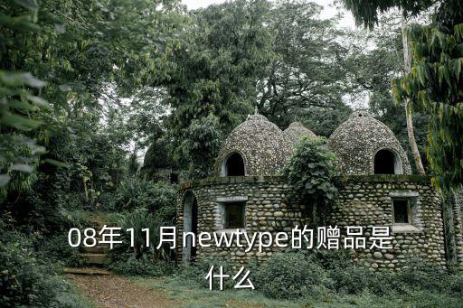 08年11月newtype的贈品是什么