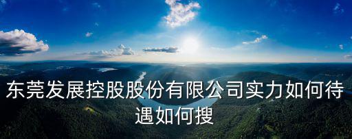 東莞發展控股股份有限公司實力如何待遇如何搜