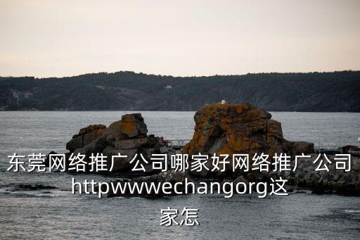 東莞網絡推廣公司哪家好網絡推廣公司httpwwwechangorg這家怎
