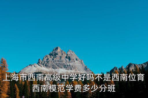 上海市西南高級中學(xué)好嗎不是西南位育西南模范學(xué)費多少分班