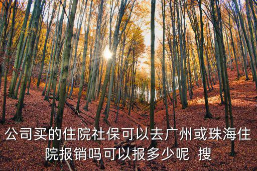 公司買(mǎi)的住院社保可以去廣州或珠海住院報(bào)銷(xiāo)嗎可以報(bào)多少呢  搜