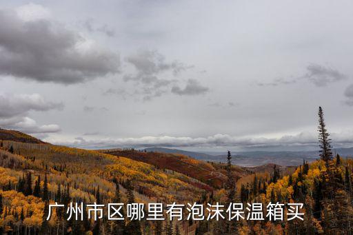 廣州市區(qū)哪里有泡沫保溫箱買