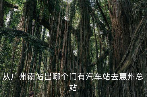 從廣州南站出哪個門有汽車站去惠州總站