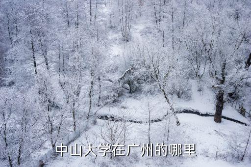 中山大學(xué)在廣州的哪里