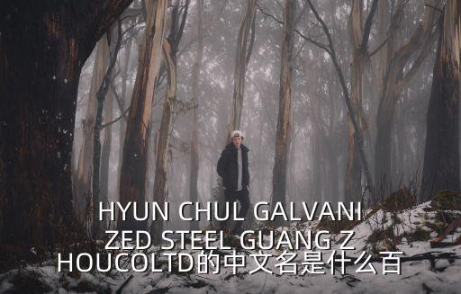 HYUN CHUL GALVANIZED STEEL GUANG ZHOUCOLTD的中文名是什么百